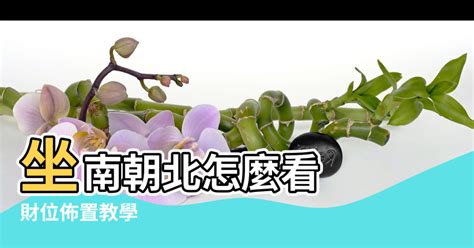 坐南朝北財位2023|【社區房子風水方向怎麼要】坐南朝北怎麼看 